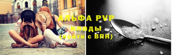 тгк Абаза