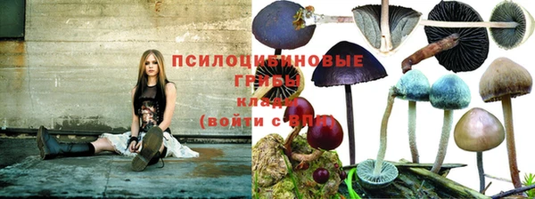 тгк Абаза