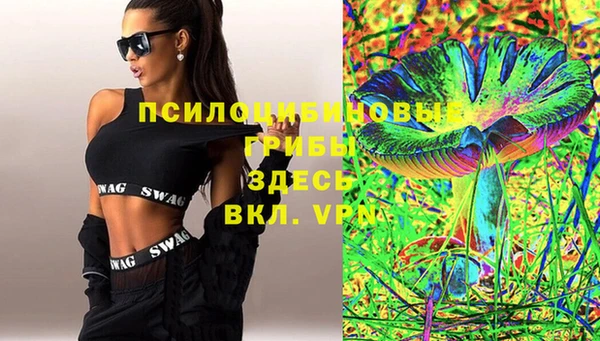 дживик Абинск