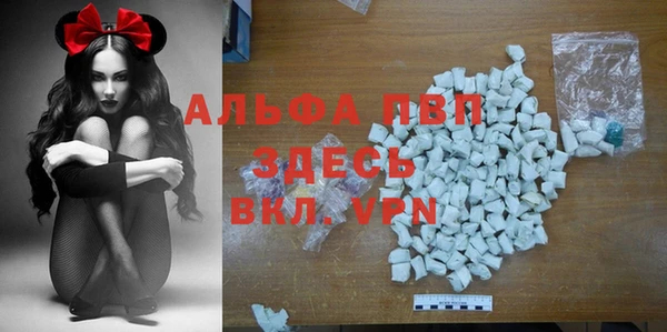 дживик Абинск