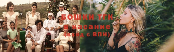 тгк Абаза