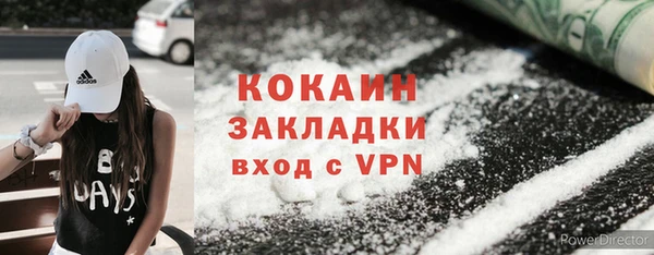 дживик Абинск